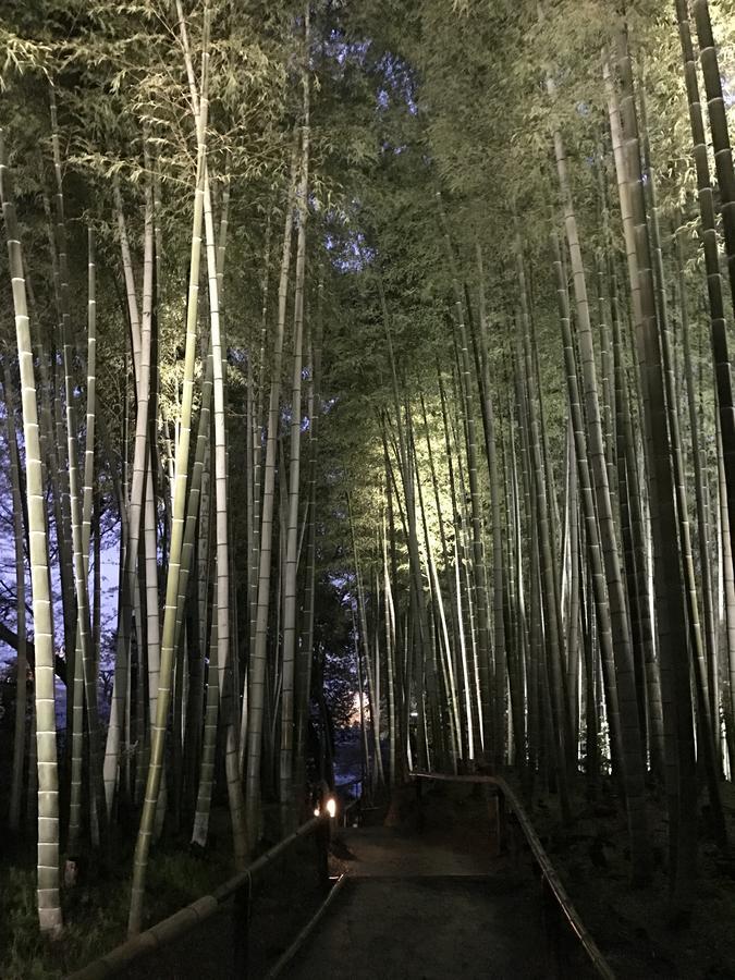 Sakuraya-Inn Osaka Exteriör bild